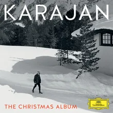 Locatelli: Concerto Grosso In F Minor, Op. 1, No. 8 "Christmas Concerto" - 6. Pastorale - Andante