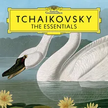 Tchaikovsky: Violin Concerto in D Major, Op. 35, TH. 59: II. Canzonetta (Andante)