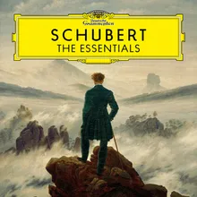 Schubert: Symphony No. 3 in D Major, D. 200: II. Allegretto