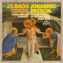 J.S. Bach: Johannes-Passion, BWV 245, Pt. 1 - No. 7, Von den Stricken meiner Sünden