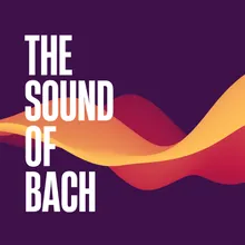 J.S. Bach: Concerto for Violin, Oboe, and Strings in D minor, BWV 1060 - Arr. for accordion R. Galliano - 2. Adagio - Excerpt
