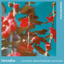 Lawson: outro guided breathwork