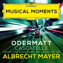 Odermatt: Les couleurs de l'eau, Op. 22: III. Cascatelle Musical Moments