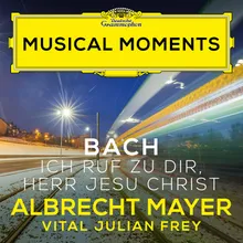 J.S. Bach: Ich ruf zu dir, Herr Jesu Christ, BWV 639 (Adapt. Tarkmann for Oboe d'amore and Harpsichord) Musical Moments