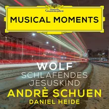 Wolf: Mörike-Lieder - No. 25, Schlafendes Jesuskind Musical Moments