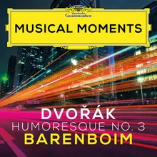 Dvořák: 8 Humoresques, Op. 101, B. 187: No. 3, Poco andante e molto cantabile Musical Moments