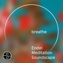 Lawson: fields of forever, pt. 2 Endel Meditation Soundscape