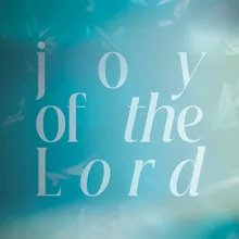 Joy Of The Lord Live