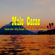 Mulo Cacae