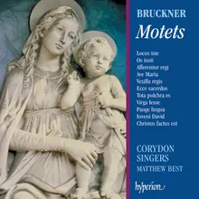 Bruckner: Afferentur regi virgines, WAB 1