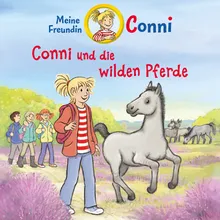 Conni und die wilden Pferde - Teil 40