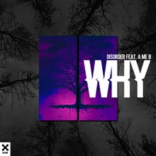 Why (feat. A Me B (Extended))