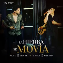 La Hierba Se Movía En Vivo