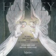 Harvey: Marahi