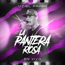 La Pantera Rosa En Vivo