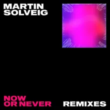 Now Or Never Moojo Remix