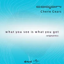 What You See Is What You Get Original Mix