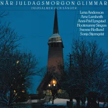 Nu tändas tusen julejus