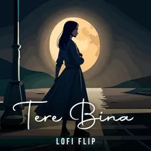 tere bina Lofi Flip