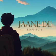 Jaane De Lofi Flip