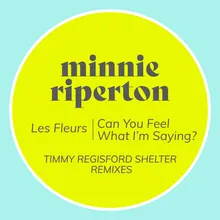 Can You Feel What I'm Saying? Timmy Regisford Shelter Remix