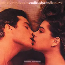 Endless Love Theme