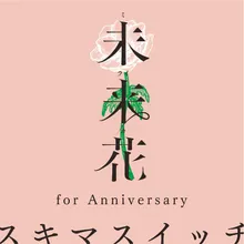 Miraika For Anniversary