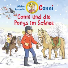 Conni und die Ponys im Schnee - Teil 11