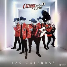 Las Culebras