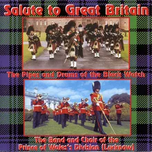 Pipes And Drums Of Scotland - a) Birkhall Hornpipe b) Jimmy Ward c) Biddy From Sligo d) Queen Of The Rushes e) Braes Of Lochiel f) Craig A Bodich g) Devil In The Kitchen h) Rip The Calico i) The Bleth