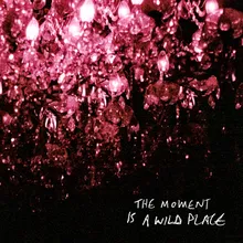 The Moment Is A Wild Place