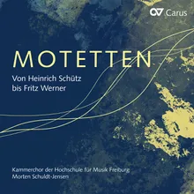 Werner: 3 Paulus-Motetten, Op. 51 - No. 1, Unsre Trübsal