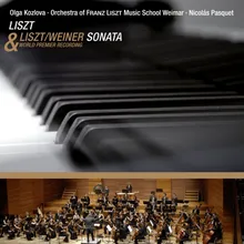 Liszt: Piano Sonata in B Minor, S. 178: I. Lento assai - Allegro energico (Arr. for Orchestra by Leo Weiner)