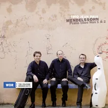 Mendelssohn: Piano Trio No. 1 in D Minor, Op. 49: II. Andante con moto tranquillo