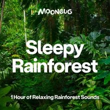 Sounds of the Rainforest, Pt. 5