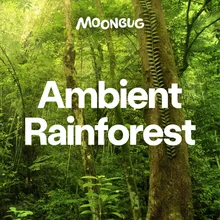 Rainforest Musical Escape