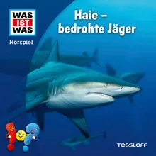 Haie - bedrohte Jäger - Teil 30