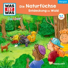 Die Naturfüchse: Entdeckung im Wald - Teil 10