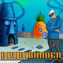 Bikinibunden