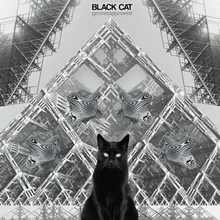 Black Cat (Instrumental)