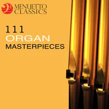 Organ Concerto in D Minor, HWV 309: III. Organo ad libitum