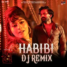 Habibi Habibi (DJ Remix)