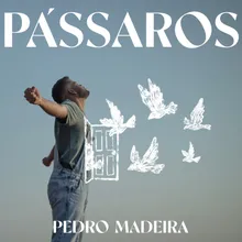 Pássaros