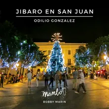 Jibaro En San Juan