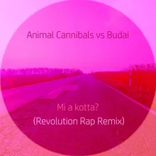 Mi a kotta? (Revolution Rap Remix)