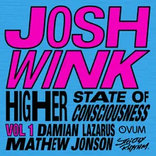 Higher State of Consciousness (Mathew Jonson Remix)