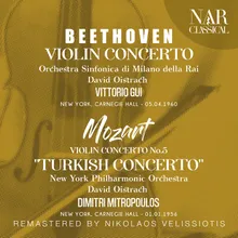 Violin Concerto in D Major, Op. 61, ILB 321: II. Larghetto