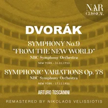 Symphony No. 9 in E Minor, Op. 95, IAD 117: III. Molto vivace