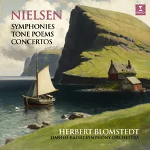 Clarinet Concerto, Op. 57: III. Allegro non troppo