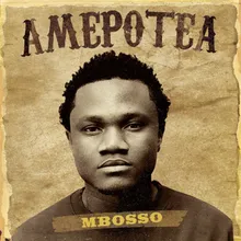 Amepotea